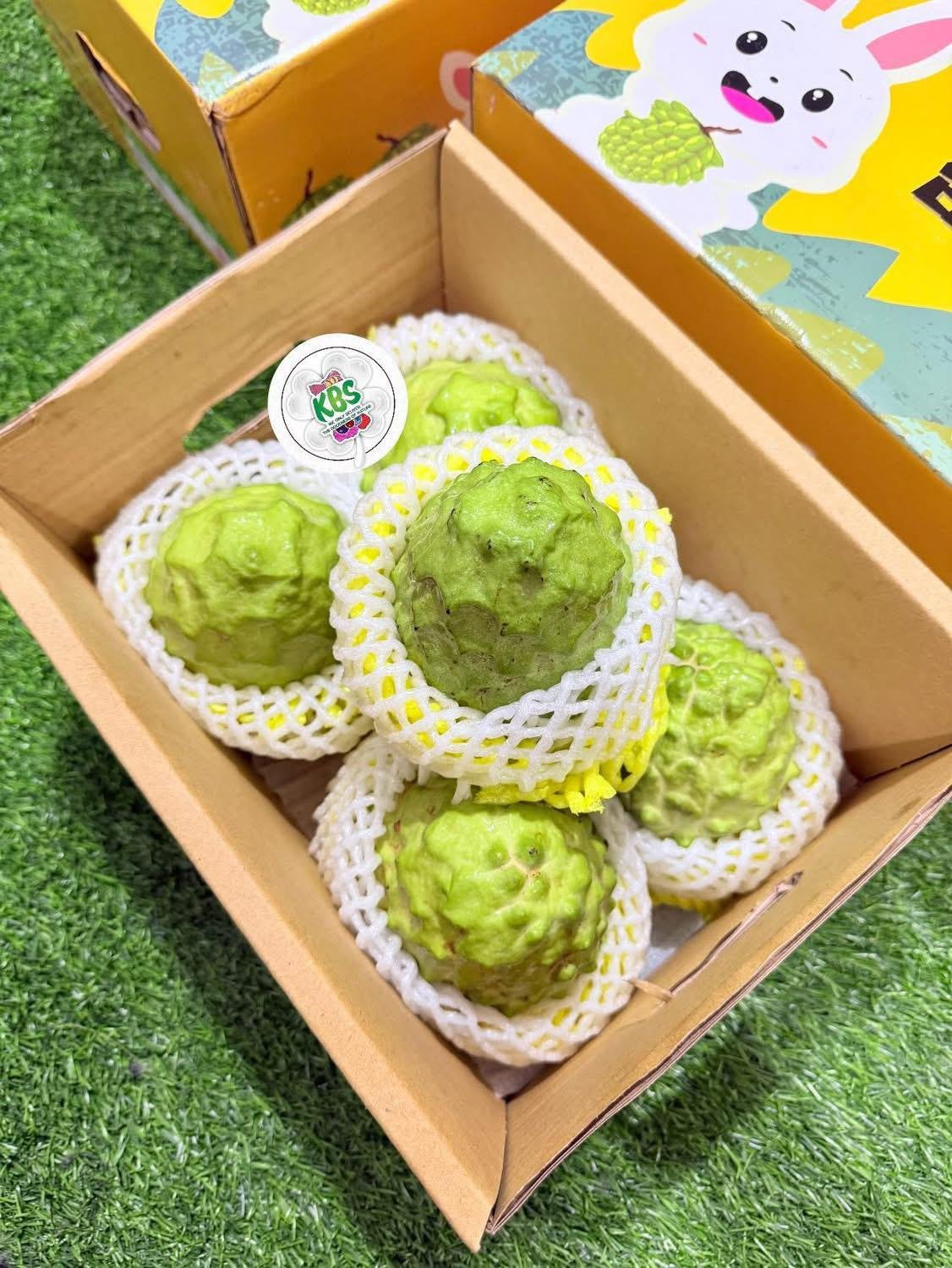 Juicy Atis Sugar Apple Fruit Box Atis Fruits for Sale Annona squamosa - Image 5