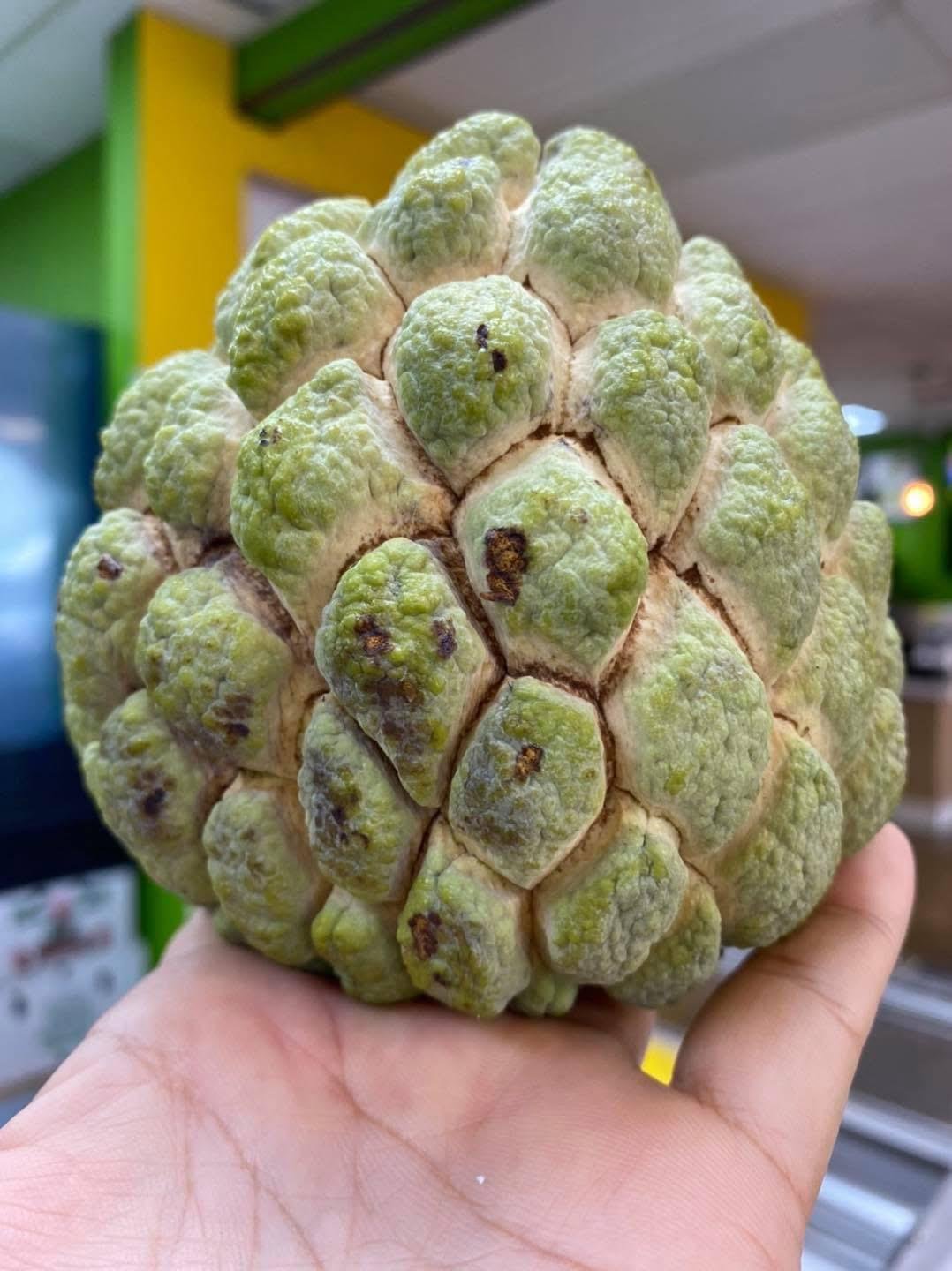 Juicy Atis Sugar Apple Fruit Box Atis Fruits for Sale Annona squamosa - Image 3