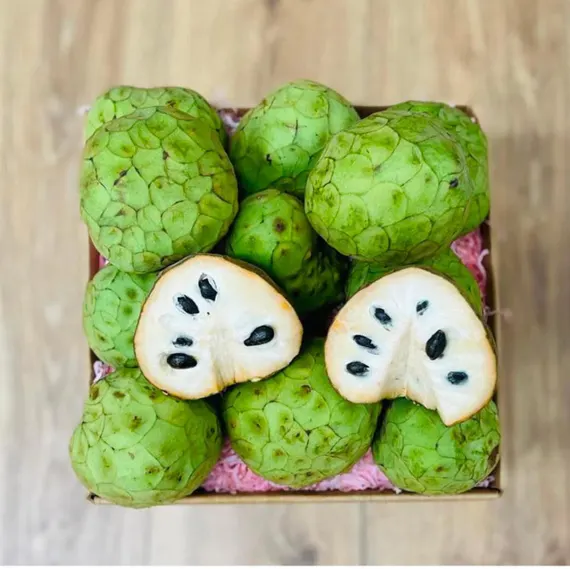 Cherimoya Fruit Box Custard Apple Annona Cherimola - Image 2