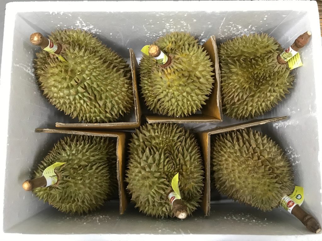 Durian Fruit Box - Image 2
