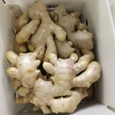 Fresh Tropical Ginger Box - Image 3