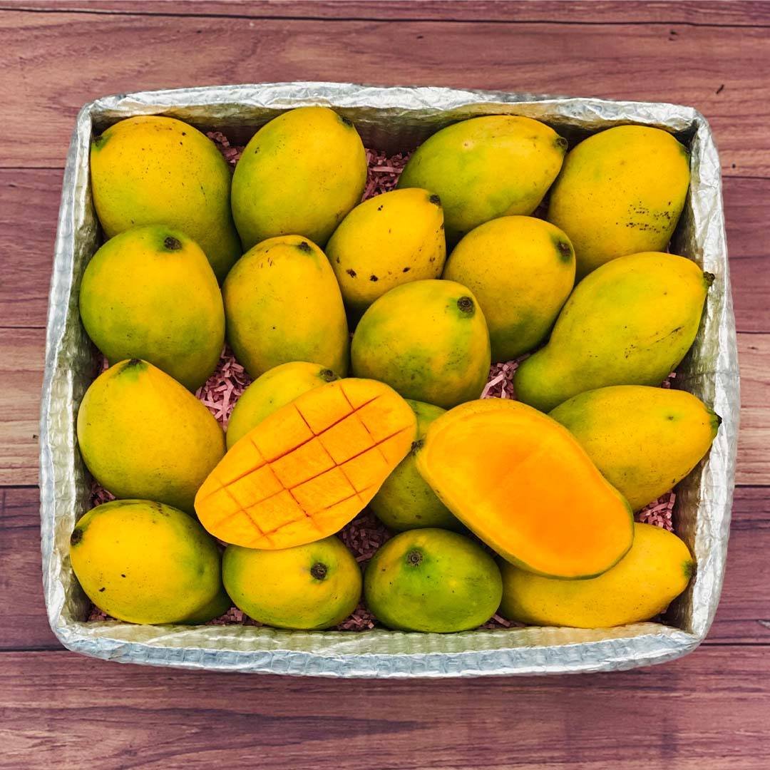 Haitian Mango Tropical Fruit Box - Image 2