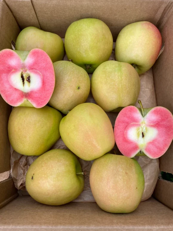 Hidden Rose Apples Fruit Box - Image 5