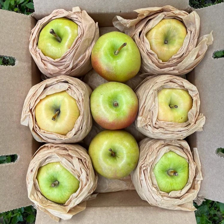 Hidden Rose Apples Fruit Box - Image 3