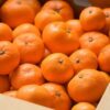 Japanese Jelly Orange Fruit Box