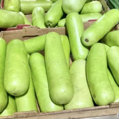 Long Opo Chinese Squash Box - Image 4
