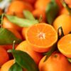 Mandarin Oranges Fruit Box