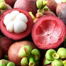Mangosteen Tropical Fruit Box - Image 3