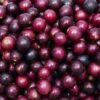 Muscadine Grapes Fruit Box