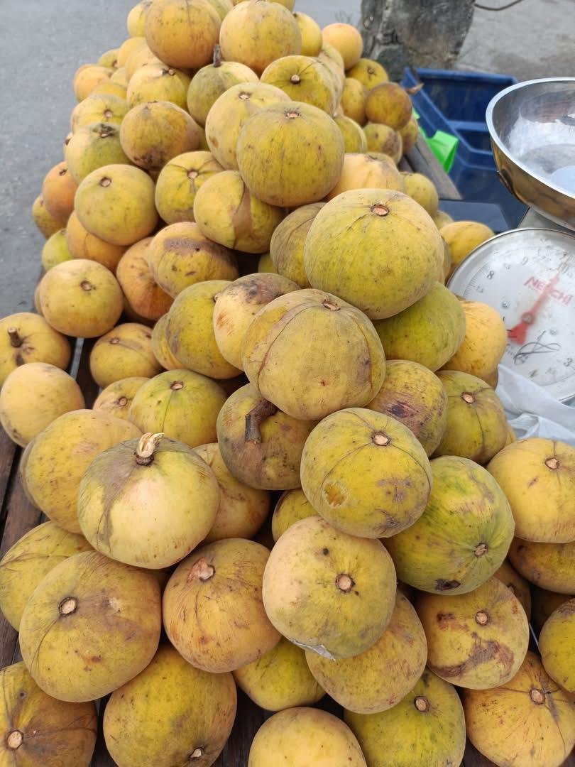 Santol Fruit Box Cotton Fruit - Image 4