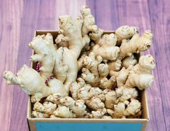 Fresh Tropical Ginger Box - Image 2