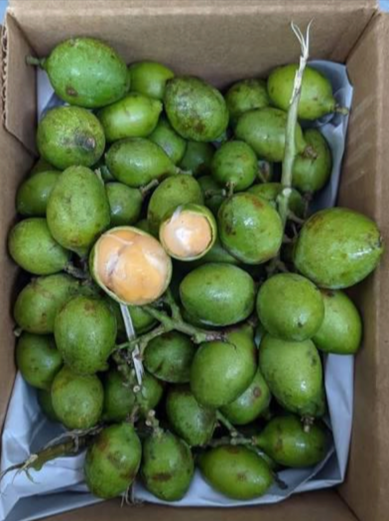 Spanish Limes Fruit Box - Image 3