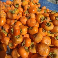 Spanish Persimmons Fruit Box - Image 4