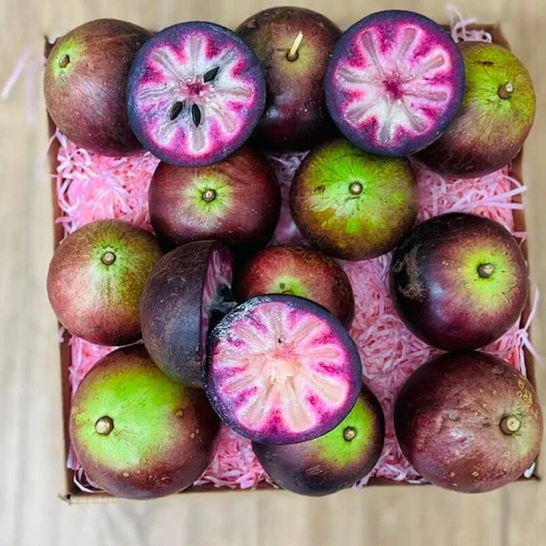 Star Apple Tropical Fruit Box - Image 3