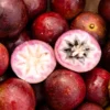 Star Apple Tropical Fruit Box
