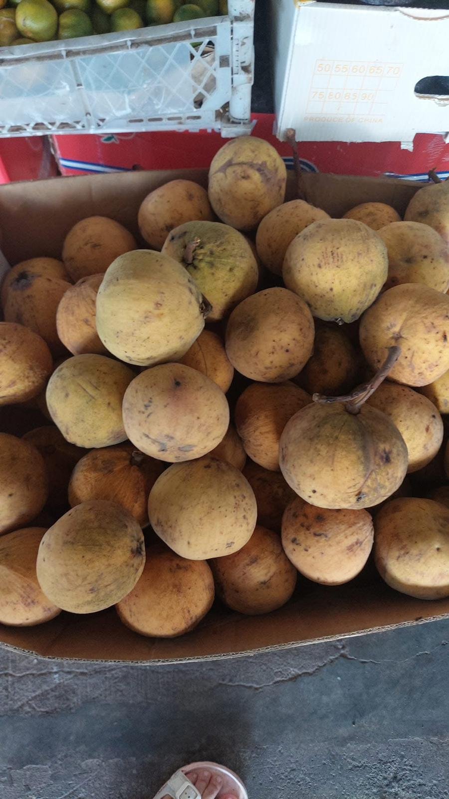 Santol Fruit Box Cotton Fruit - Image 3